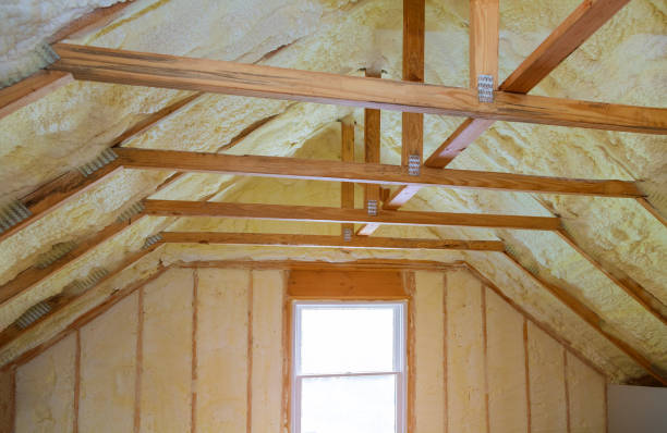 Best Spray Foam Insulation  in USA